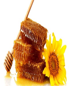 پیش بینی تولید بیش از ۶۰۰ تن عسل در چالدران
